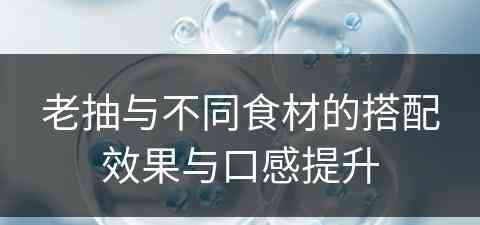 老抽与不同食材的搭配效果与口感提升